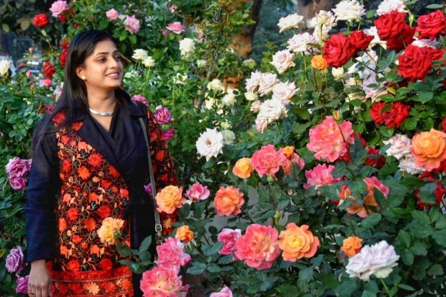 Lions Club of Calcutta North and Bengal Rose Society hosted a spectacular display of roses at Lions Safari Park, Rabindra Sarobar 