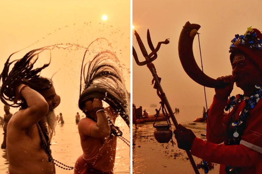 Sadhus take a holy dip at the Sagar Island after sounding a traditional wind instrument