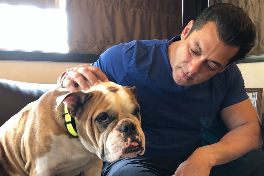 Salman Khan with his pet dog Toro