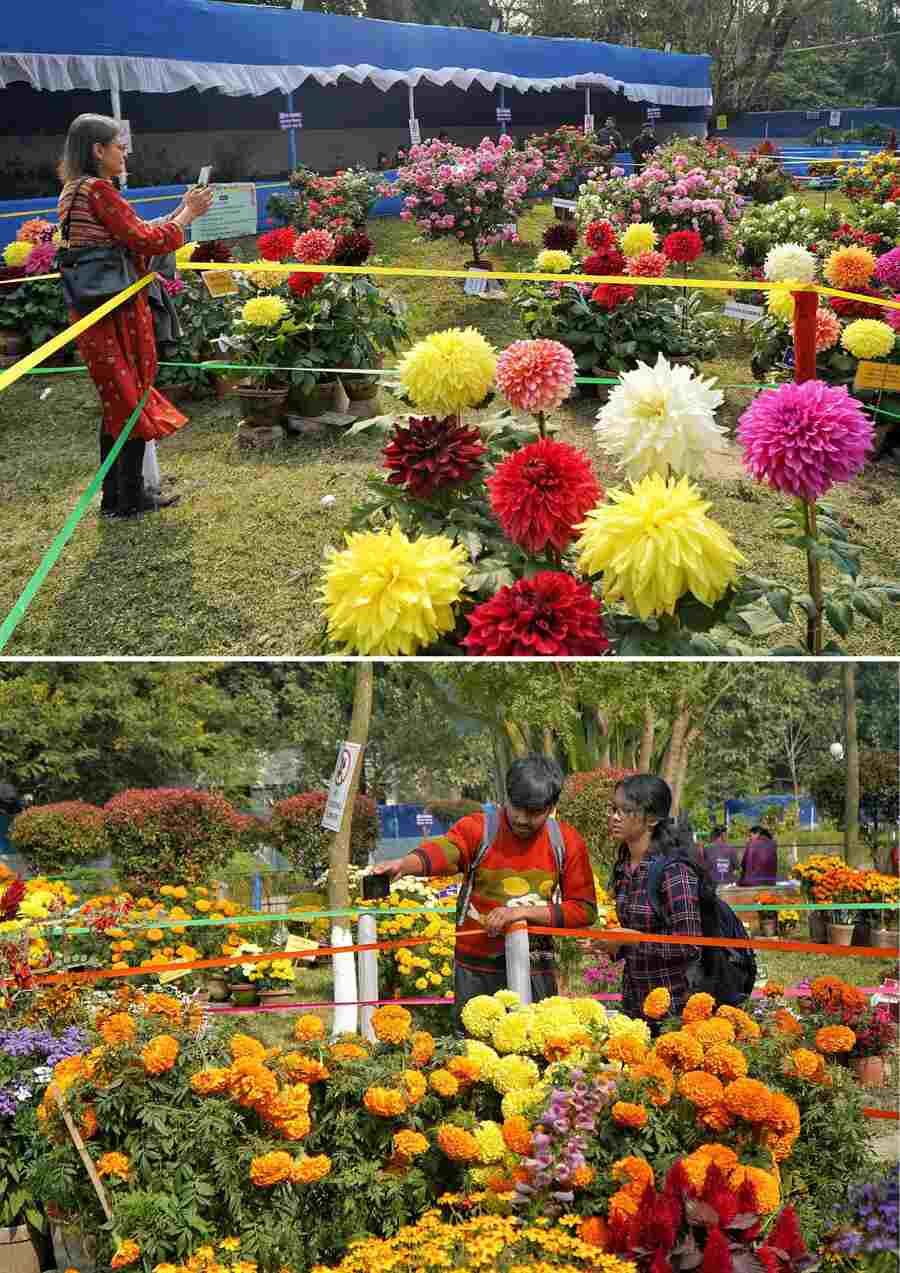 Visitors take photographs at a flower show at Rabindra Sarobar opposite Bengal Rowing Club gate. The event will continue till January 19, Sunday  