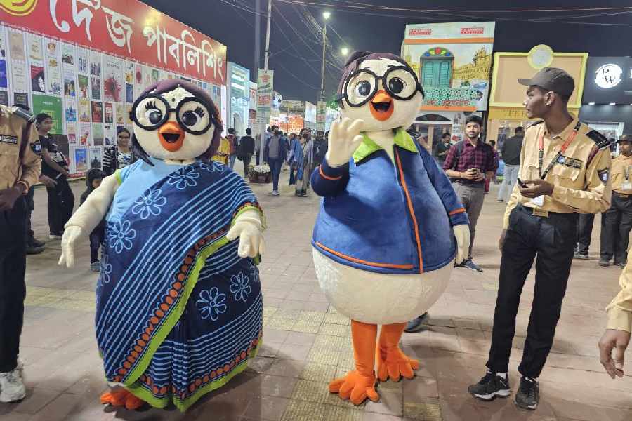 Book fair Fair mascots made in New Town Sister Nivedita University