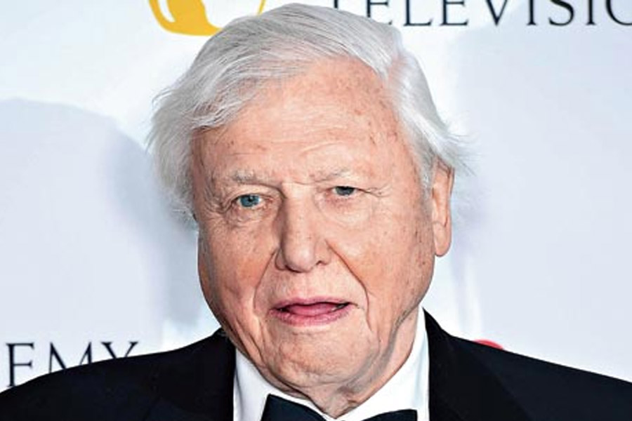 David Attenborough