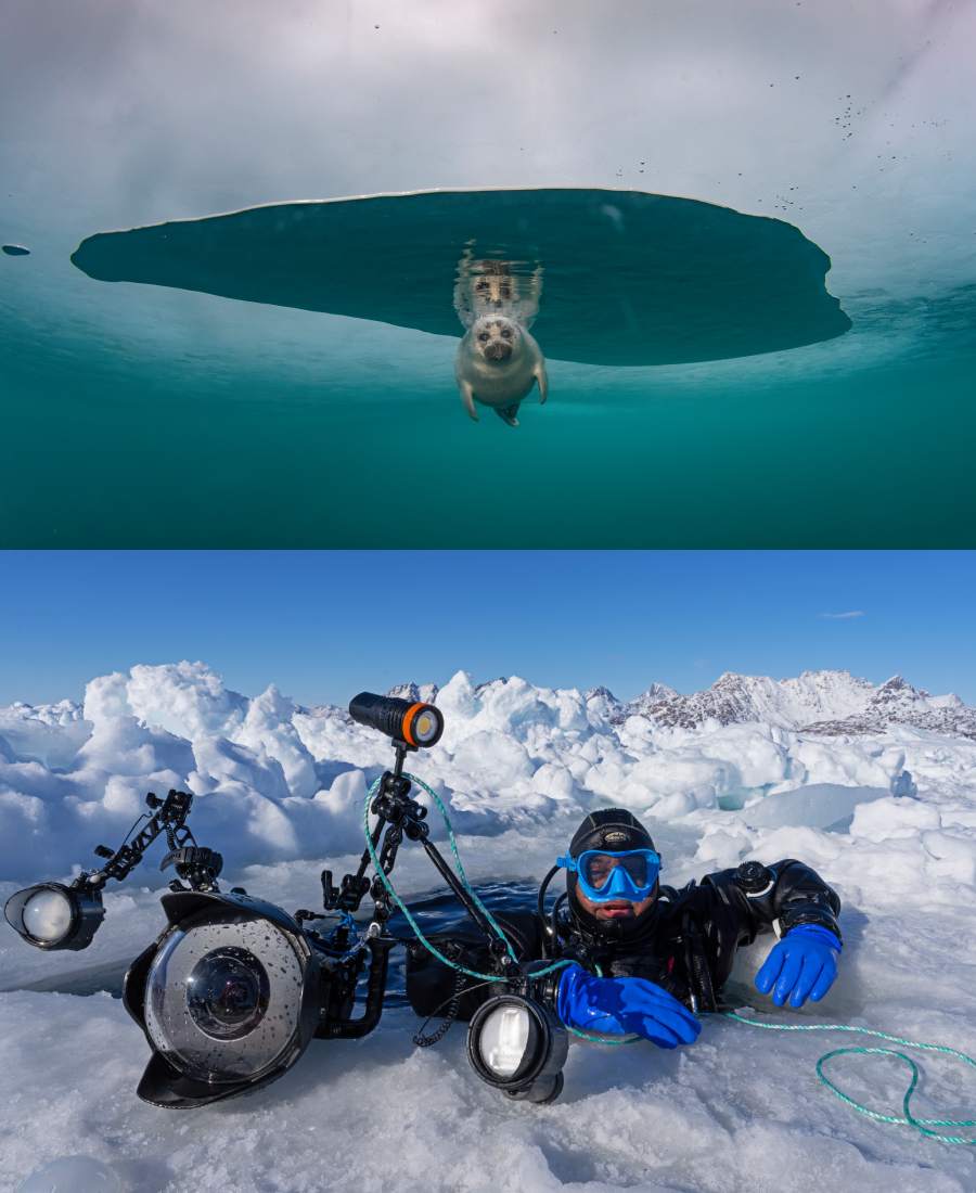 Mukherjee spent hours under the ice-clad Lake Baikal to get the perfect shot of Nerpa Seals — the only species of freshwater seals on earth