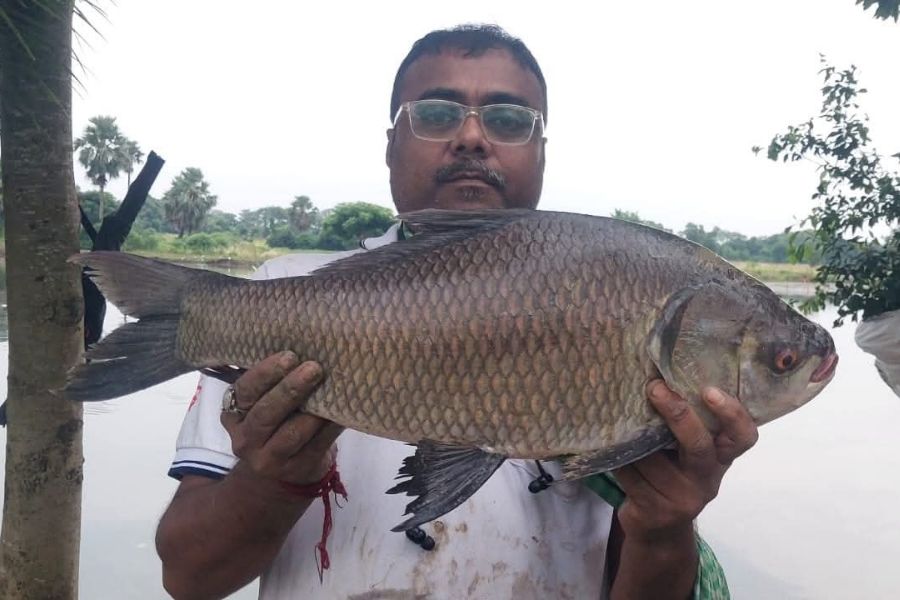 Arindam Roy with a spectacular catch