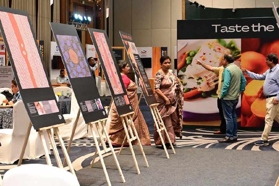An exhibition showcasing aboriginal art using natural colours at JW Marriott.