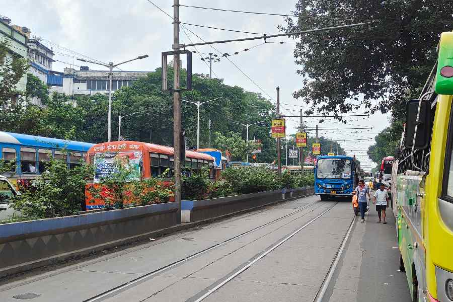 Similar to the stretch from Park Street was this stretch on Acharya Prafulla Chandra Road, with the road becoming narrow to only allow a single file of cars