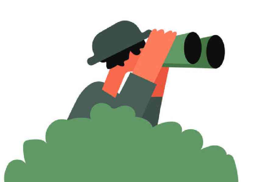 Istock.com/Nazeebaibnat