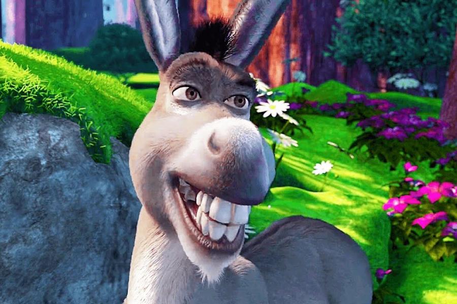 Donkey from Shrek
