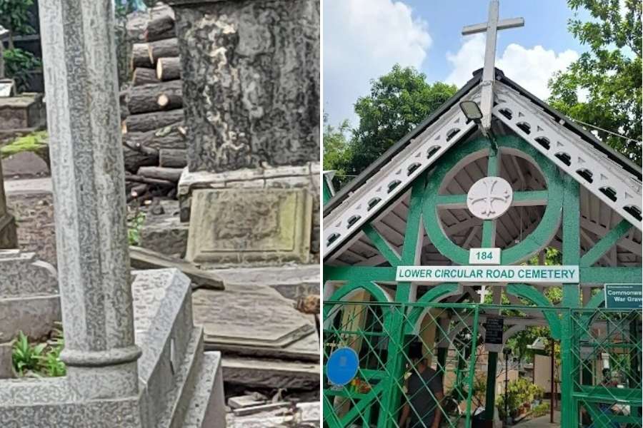 Tree logs piled up at the Lower Circular Road Cemetery in Kolkata
