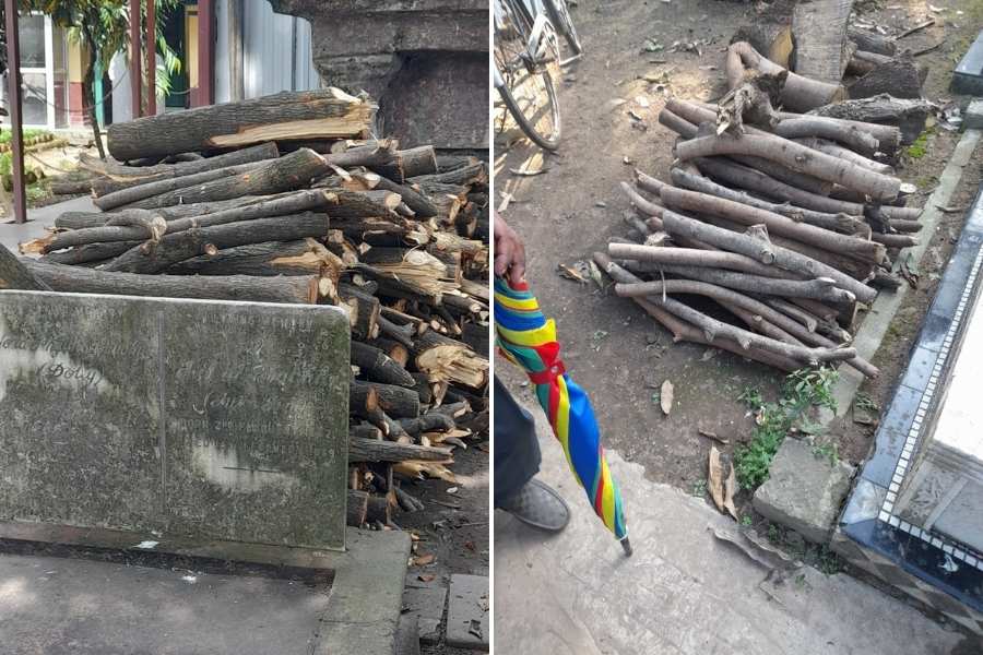Singh, the whistleblower, has shared several photos of tree logs piled up at the cemetery