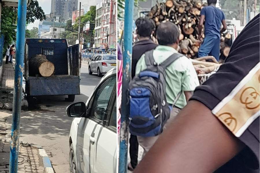 Tree logs being transported from the cemetery in Kolkata