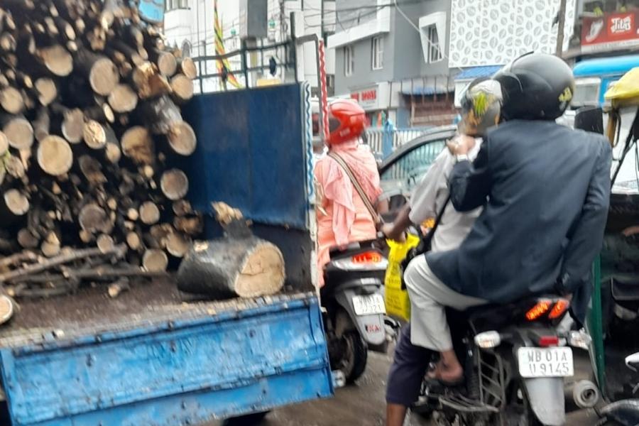 Several photos of alleged tree felling are in pocession of My Kolkata