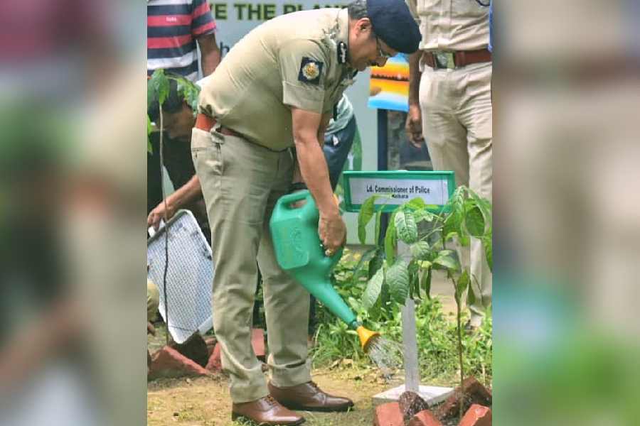 Police commissioner Manoj Kumar Varma planted saplings at the Alipore Body Guard Line, lending support to the cause of urban afforestation
