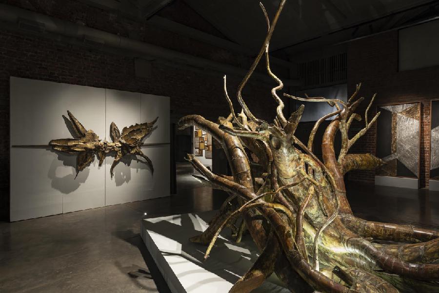 Rapporto, 2023 (against the wall), and Albero 2025, occupying center stage at Iram Art Gallery