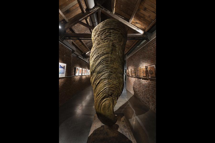 Fusione in bronzo, 2025, weighing 380kg
