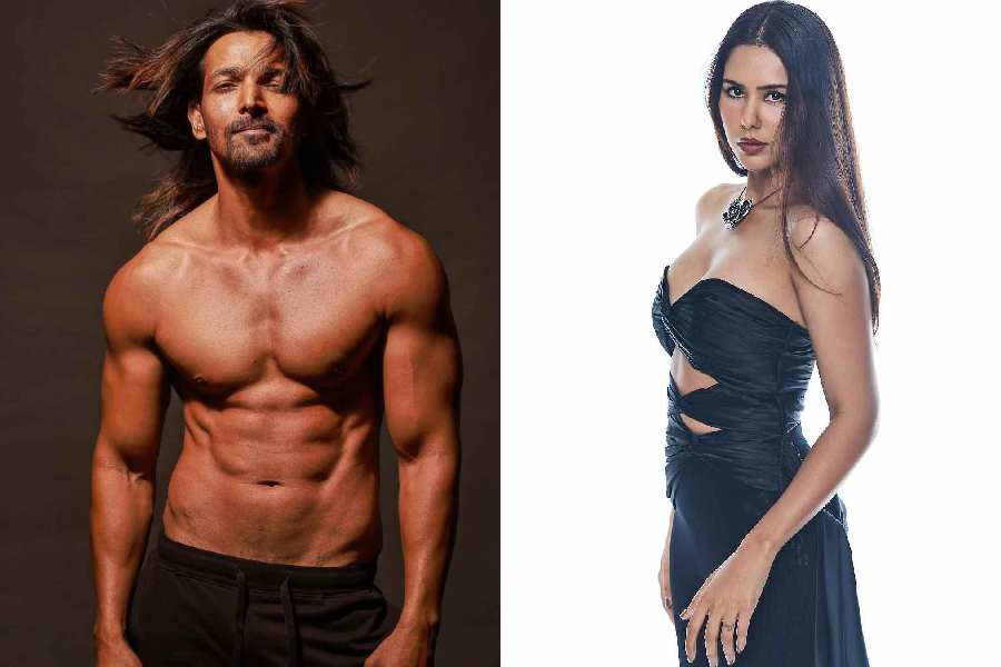 Harshvardhan Rane, Sonam Bajwa