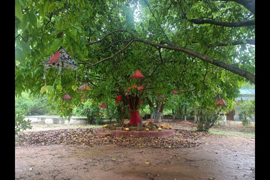 Maharaja Sasanka, a play by the theatre group Ebong Amra at Tepantor Theatre Village is in Satkahania in Bengal’s Birbhum district.