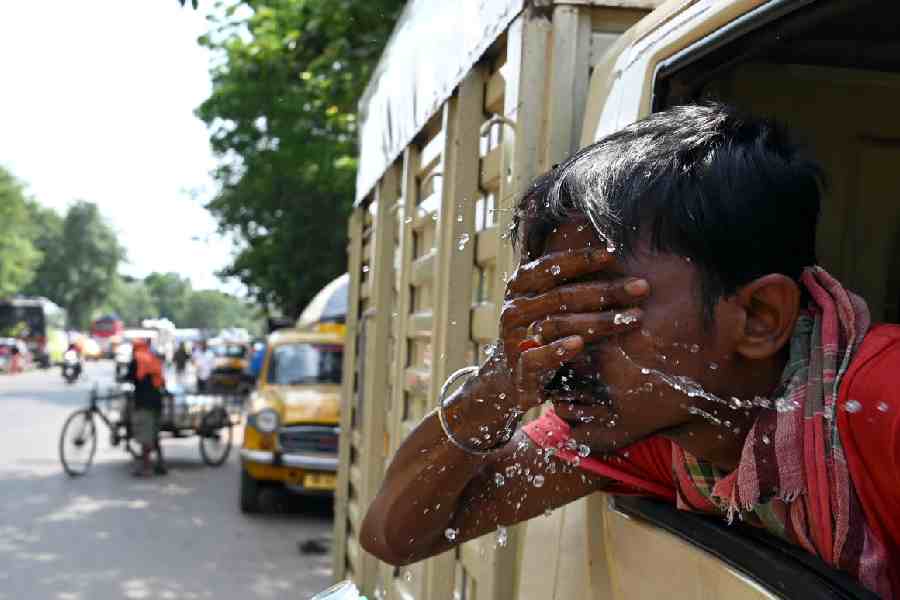 Laborers step out each day to toil under the scorching sun, striving tirelessly to earn their daily bread.