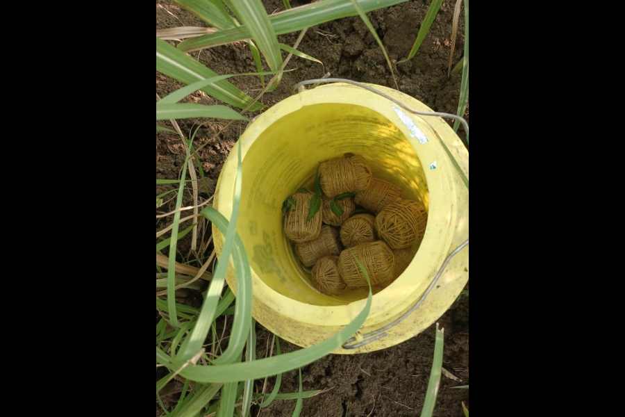 Crude bombs recovered by police after the explosion