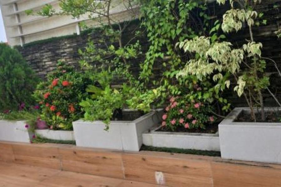 The flowerbeds on his terrace with flowering plants