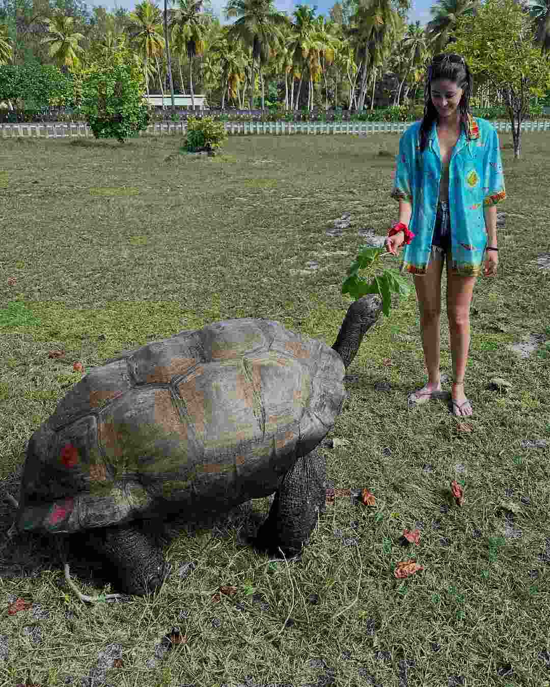 Ananya Panday also fed a tortoise and enjoyed a laid-back day in the lap of nature.  