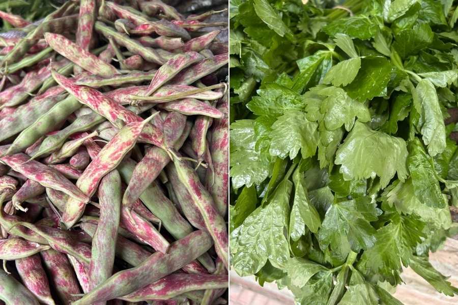 Organic produce at the Jaubari Organic Haat