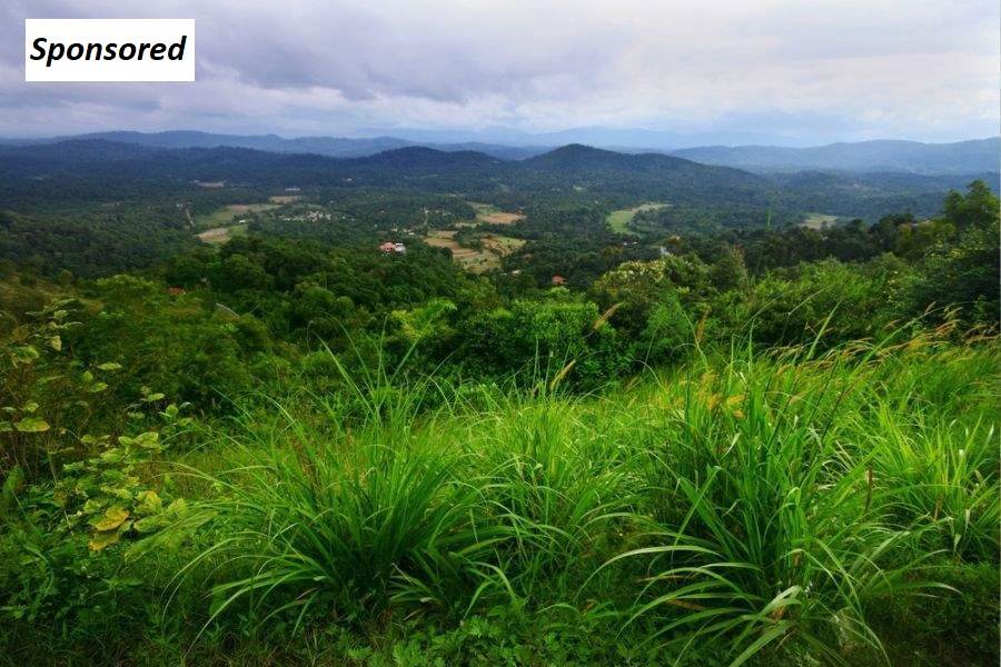 Explore the Best Tourist Spots in Coorg