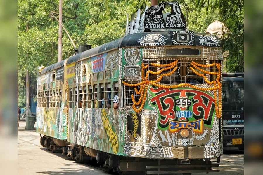 A tram decorated with cutouts of mangrove trees, images of rivulets and pictures of the Bengal Tiger, rolled through two active tram routes — Gariahat to Esplanade and Shyambazar to Esplanade, on Friday, marking the beginning of the four-day ‘Sundarban Tramjatra’