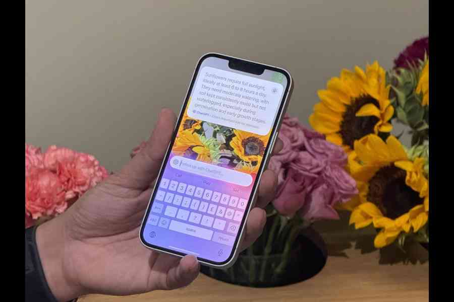 iPhone 16e can handle all the Apple Intelligence tasks, including Visual Intelligence