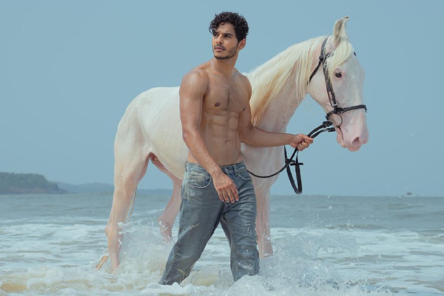 Ishaan Khatter as Aviraaj Singh