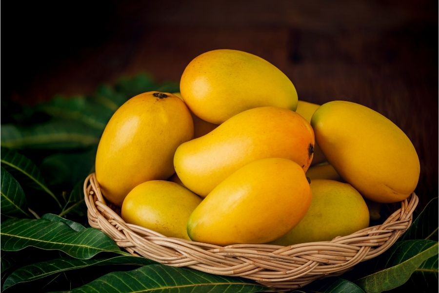 Calcium carbide-ripened mangoes have an unnaturally uniform yellow or orange colour