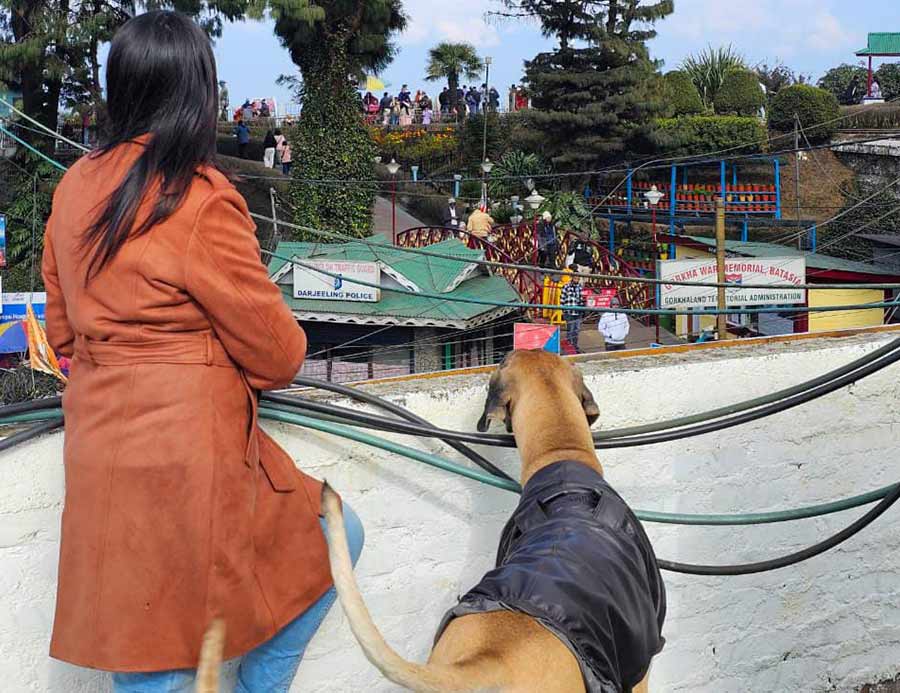 The Whistle Stop in Darjeeling pairs sweeping Himalayan views with pet hospitality