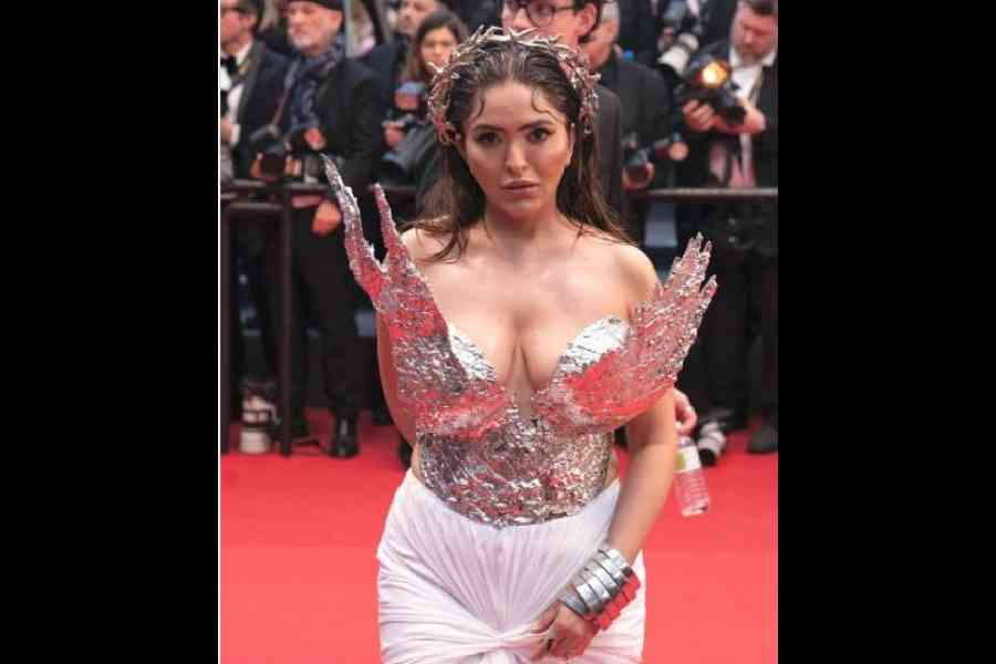 Content creator Sonam Chhabra's outfit that supposedly paid tribute to India's armed forces