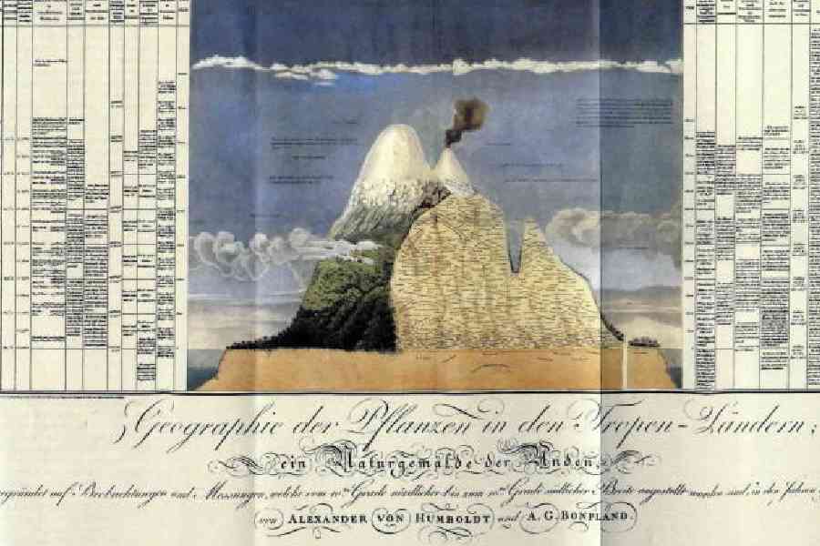field data: This illustration by 19th century geographer Alexander von Humboldt of the Chimborazo volcano in Ecuador shows plant species at different elevations