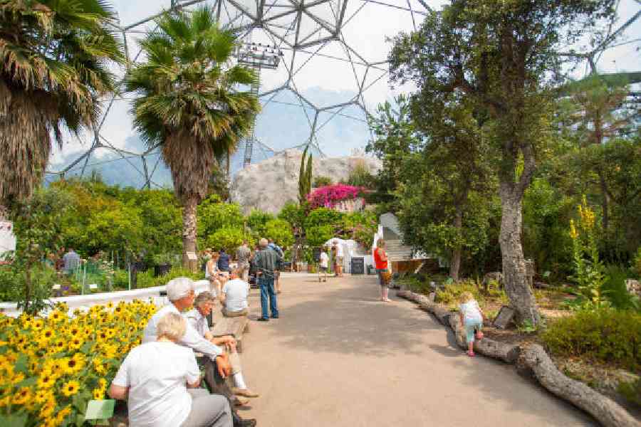 Inside geodesic dome of Eden Project botanical gardens people moving about or relaxing