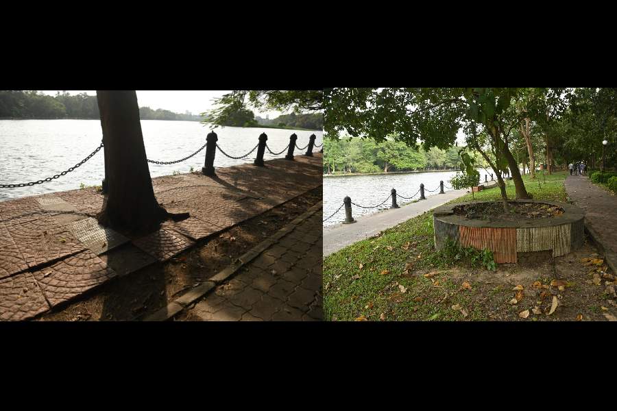 An uneven portion of the walkway at Rabindra Sarobar on Monday; (right) a broken seat built around a tree at the lake.