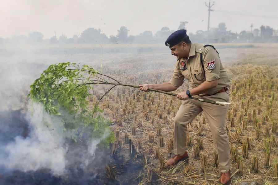 SSP Sartaj Singh Chahal tries to extinguish a fire caused by stubble burning, in Sangrur district, Punjab, Tuesday, Nov. 4