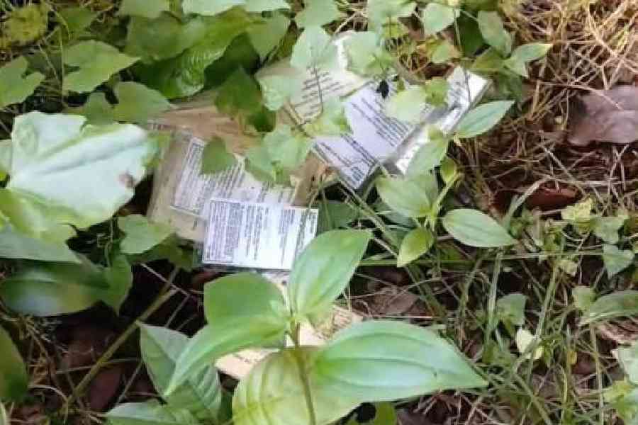 Some of the voter ID cards on the premises of the BDO office in Rajganj, Jalpaiguri, on Thursday. Picture by Biplab Basak