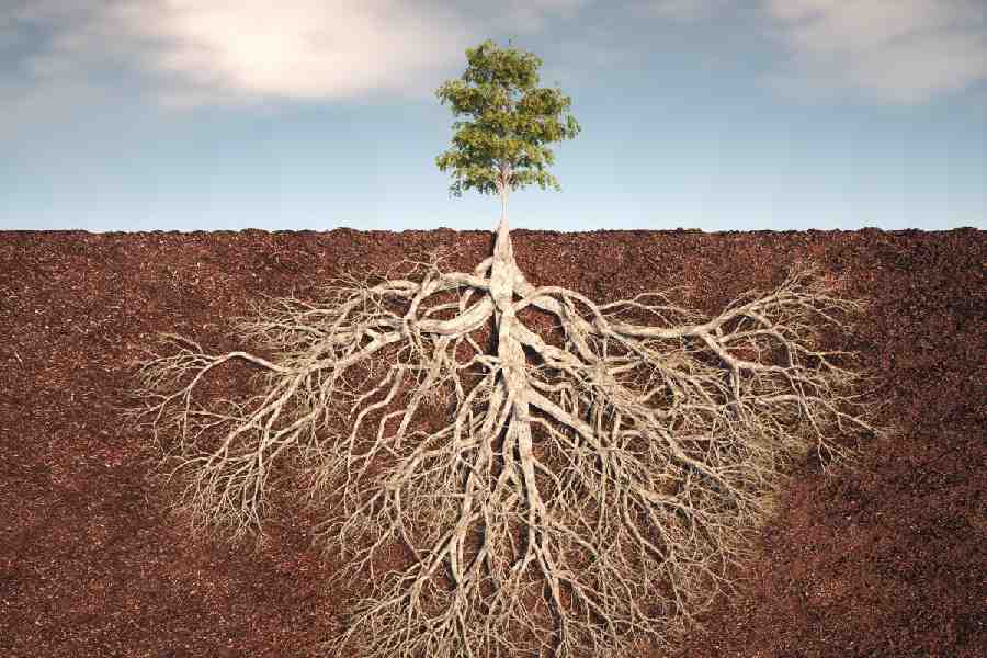 Representational image