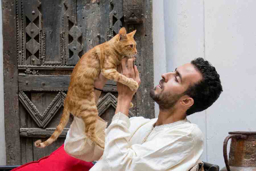 People can be the best friends for cats