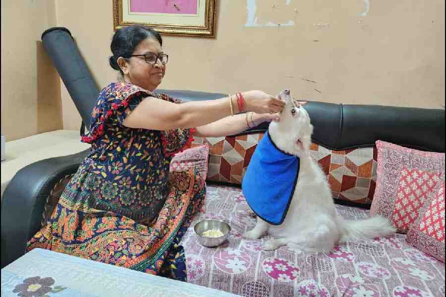 Dalia Biswas hand-feeds her Spitz Sweety in EE Block.