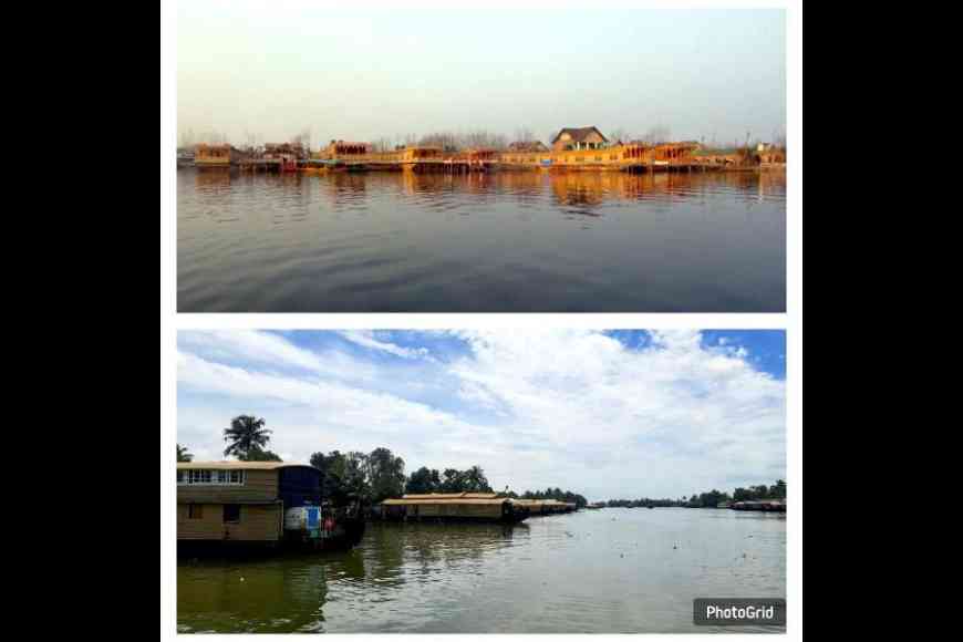 The mangrove forest in the Sundarbans, and (below) farmlands adjacent to the Kerala backwaters
