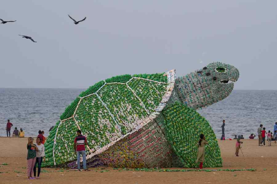 A sea turtle installation made from used plastic bottles at Edward Elliot’s Beach in Chennai.