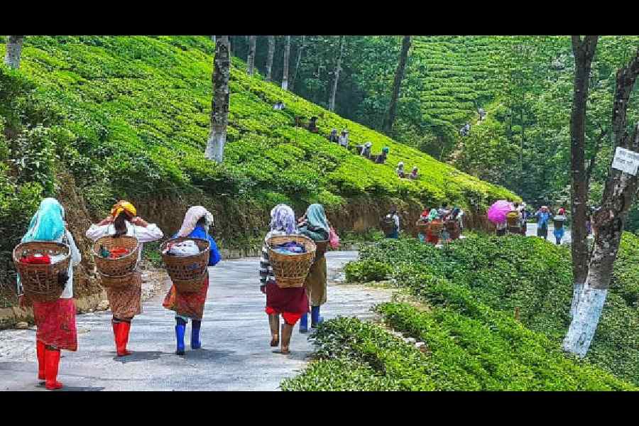 Representational picture