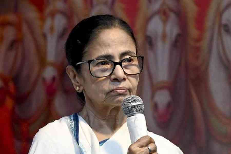 Mamata Banerjee. File picture