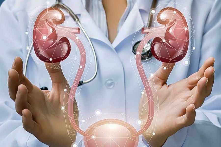Manipal Institute of Nephrology and Urology provides comprehensive care for kidney-related problems