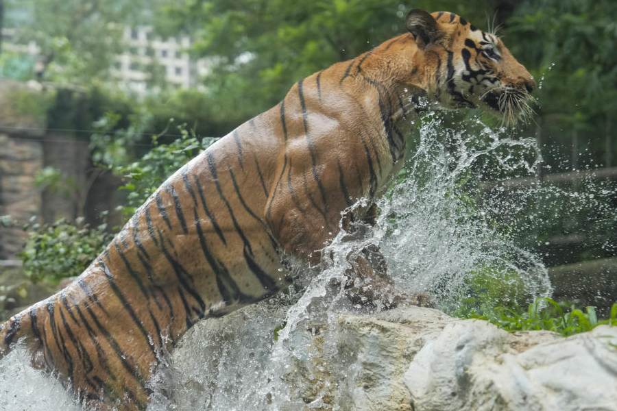 Representational image