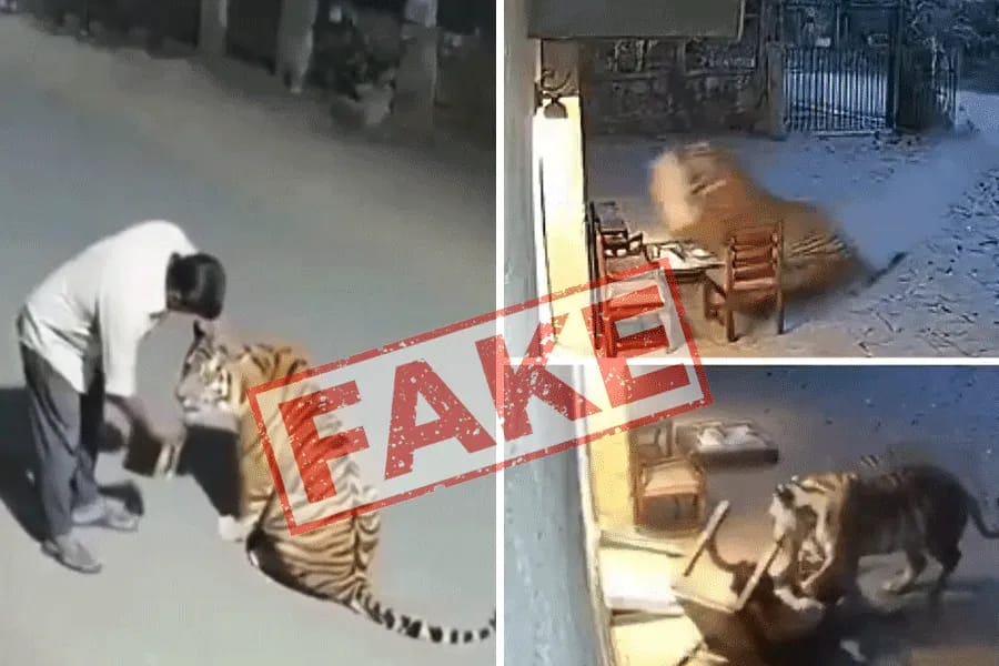 Representational image