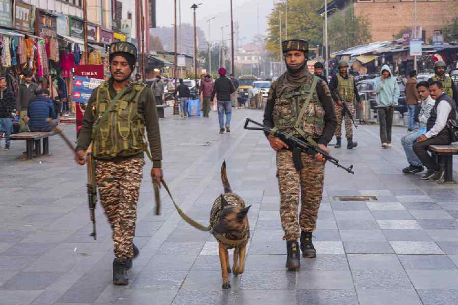 CRPF personnel patrol with a sniffer dog, amid tight security in the aftermath of a high-intensity blast in a car near Delhi’s Red Fort on Monday evening that killed at least 12 persons, at Lal Chowk, in Srinagar, Jammu and Kashmir, Wednesday, Nov. 12, 2025.