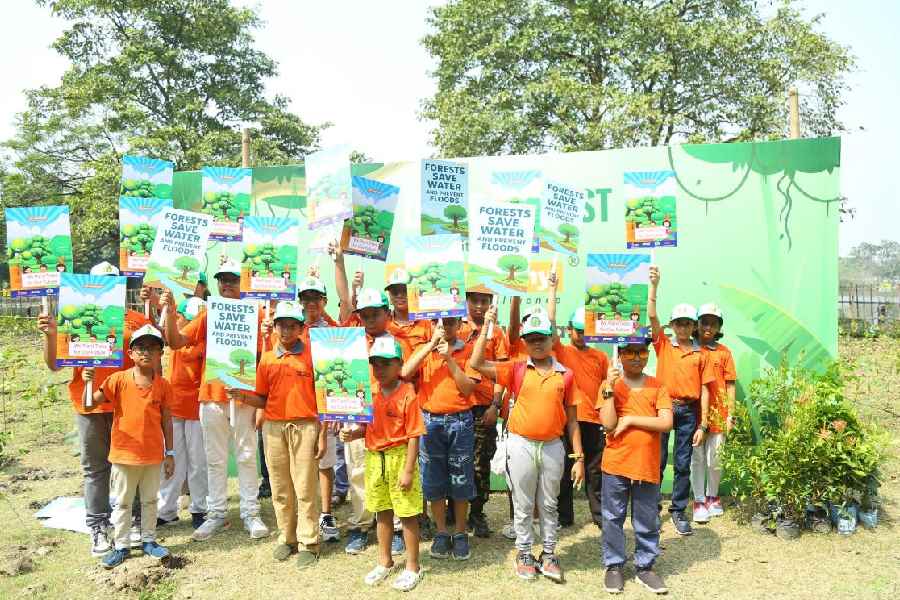 Students display placards on the importance of green cover and planting trees